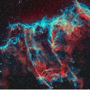 Meet your Posher, 🤎kayler🤎